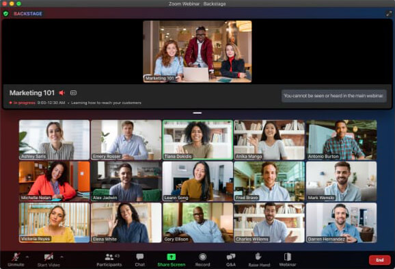 Webinars en Zoom
